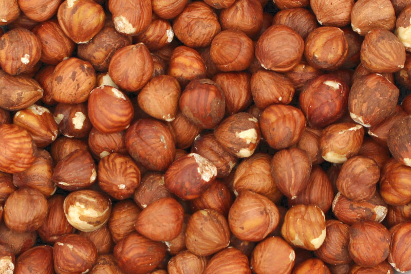 hazelnut kernels 13-15mm organic