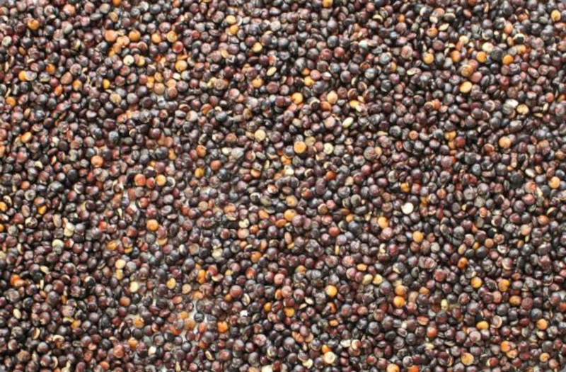 Quinoa schwarz bio