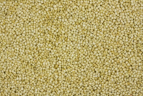Quinoa weiß bio 5kg
