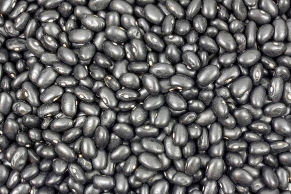 Bohnen schwarz bio (black turtle) gartenkompostierbarer Beutel 500 g