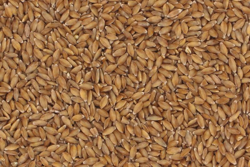 Einkorn bio 25kg